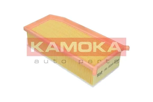 F240801 Kamoka