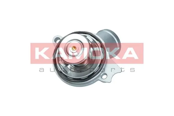7710119 Kamoka