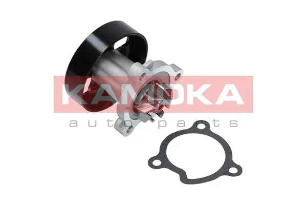 T0221 Kamoka