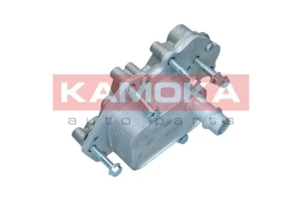 7730110 Kamoka