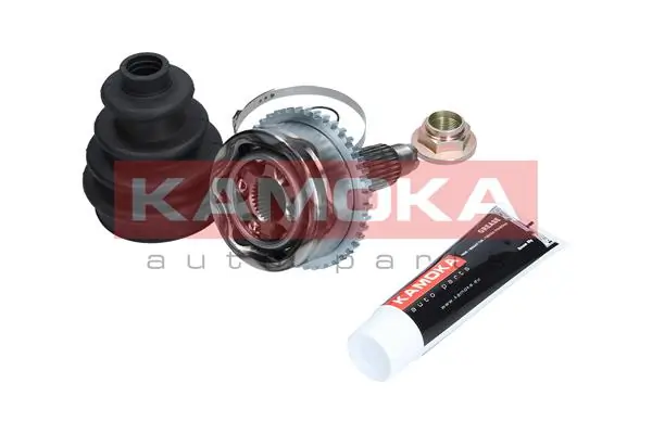 6010 Kamoka