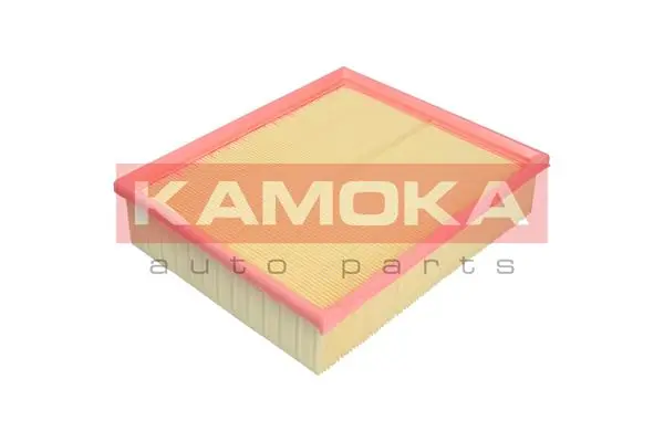 F221801 Kamoka