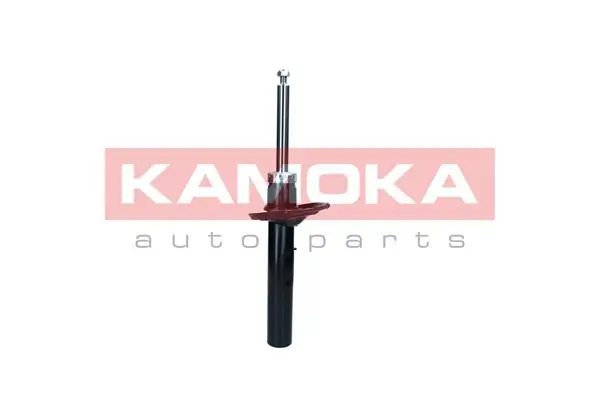 2001189 Kamoka