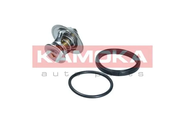 7710093 Kamoka