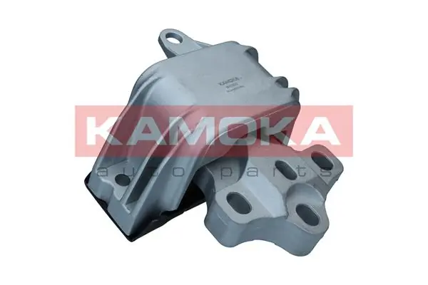 890505 Kamoka
