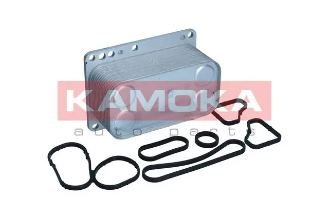 7730093 Kamoka