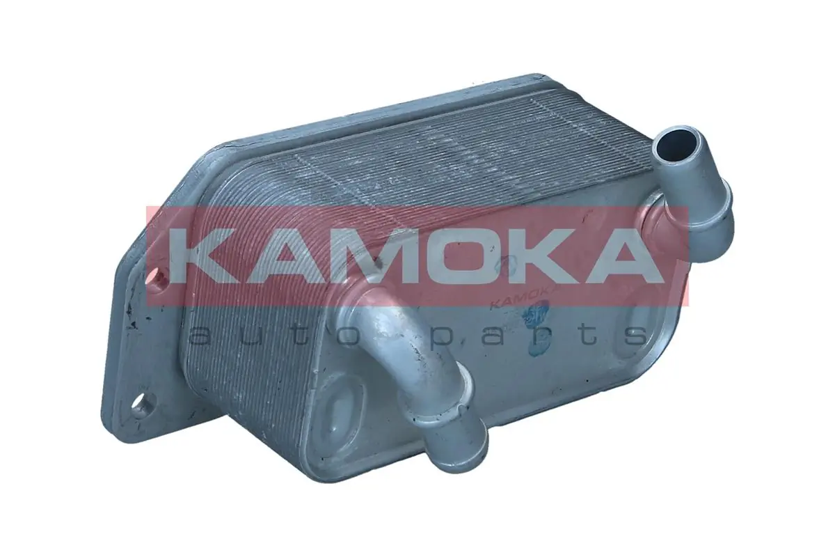 7730142 Kamoka