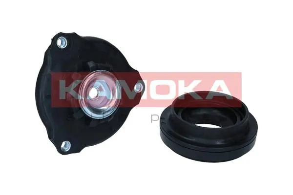 209307 Kamoka