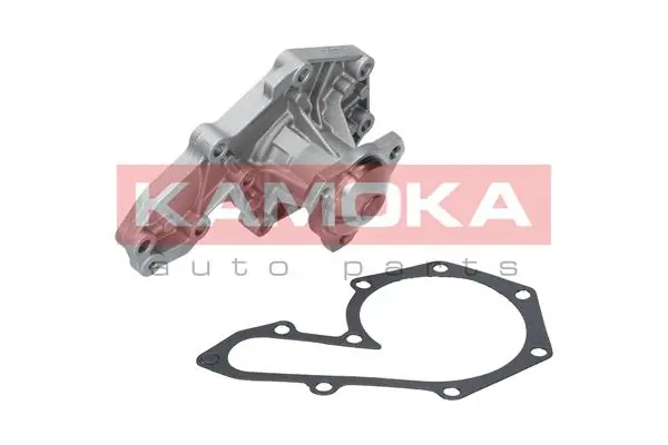 T0207 Kamoka