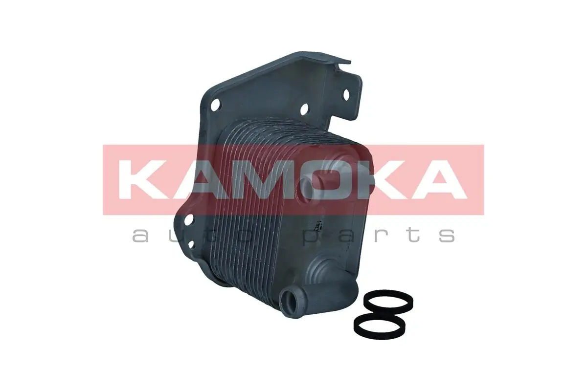 7730108 Kamoka