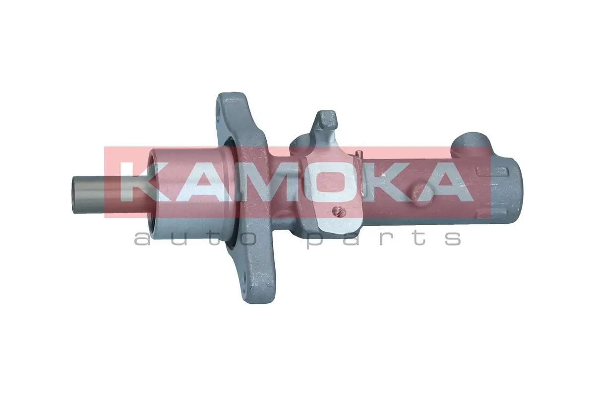 1121028 Kamoka