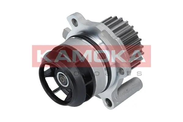 T0022 Kamoka