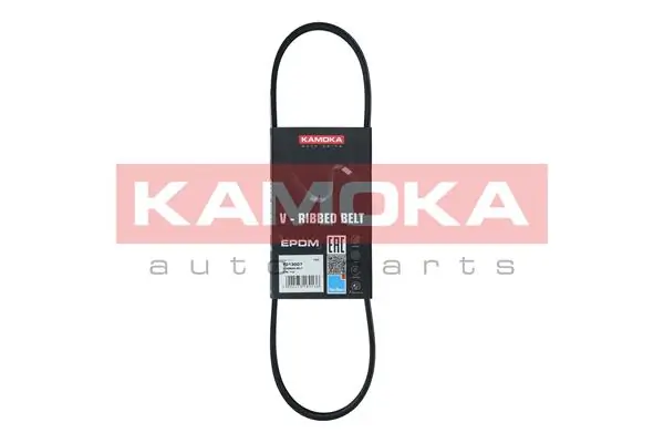 7700850113 Nissan/Infiniti Correa poly v