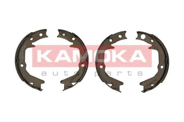 JQ212047 Kamoka