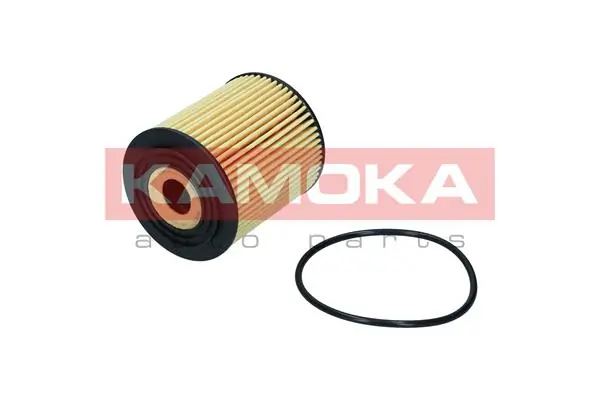 F121901 Kamoka