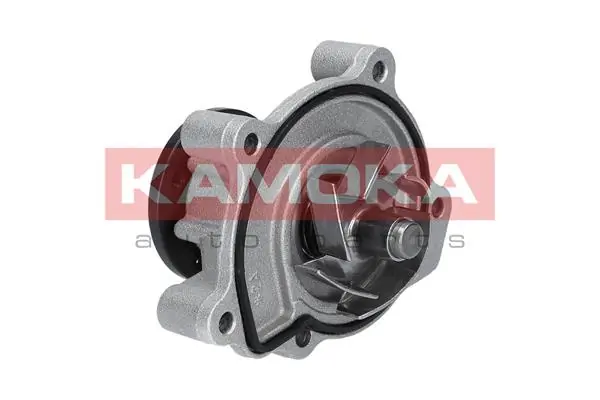 T0183 Kamoka