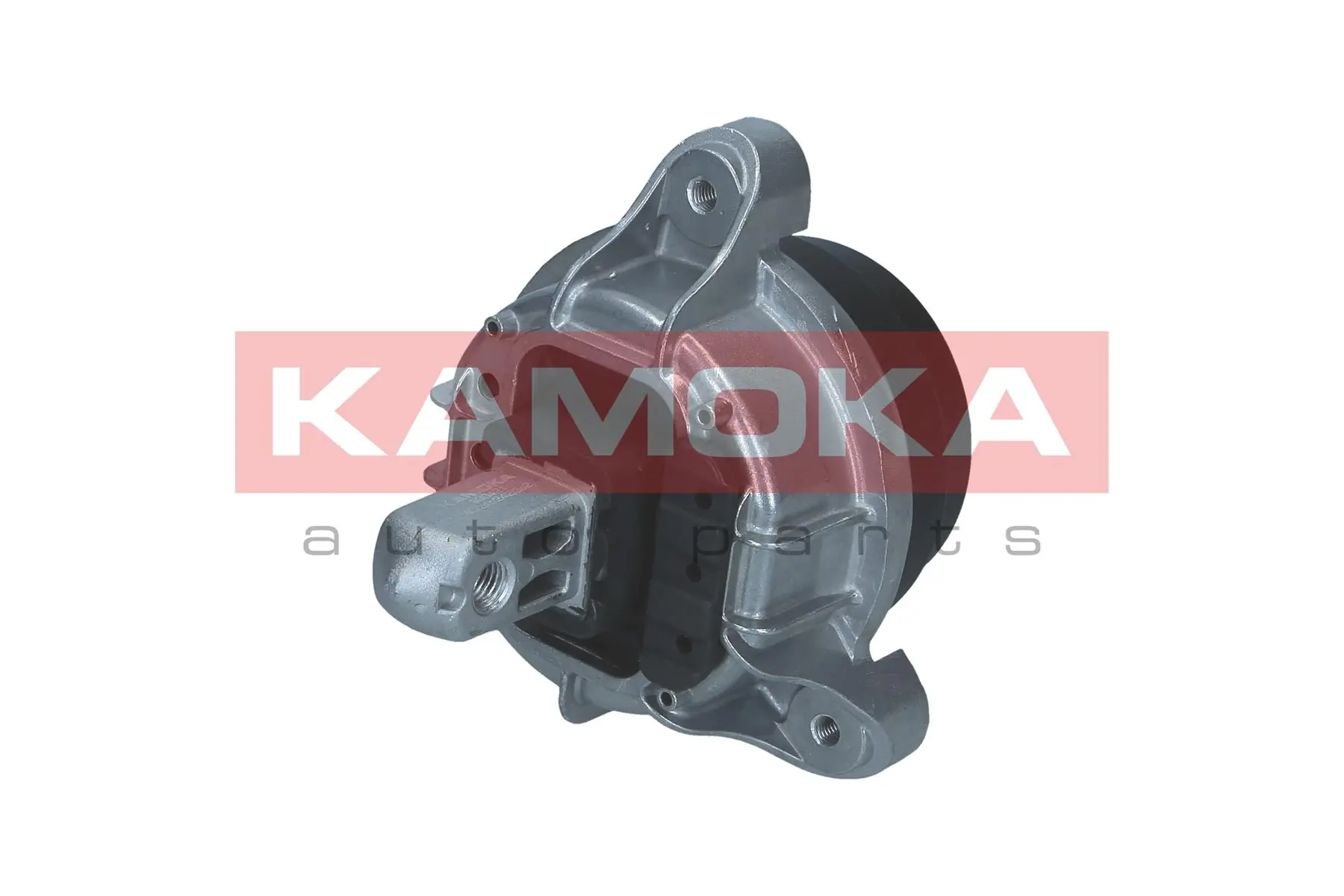 890421 Kamoka
