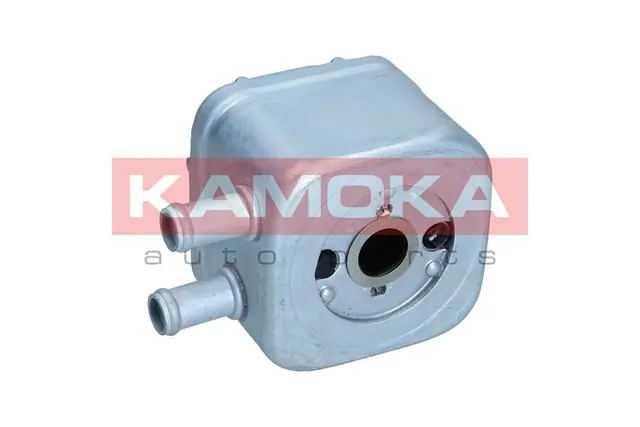 7730013 Kamoka