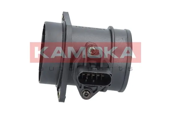 18059 Kamoka