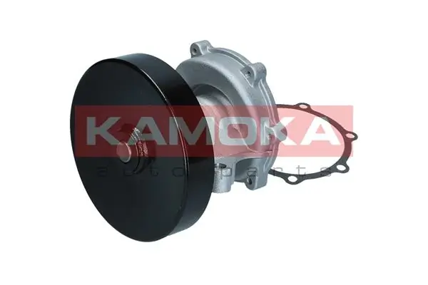 T0247 Kamoka