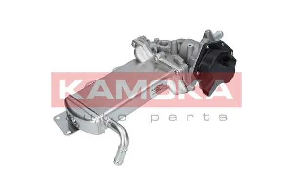 19069 Kamoka