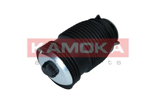 2079049 Kamoka