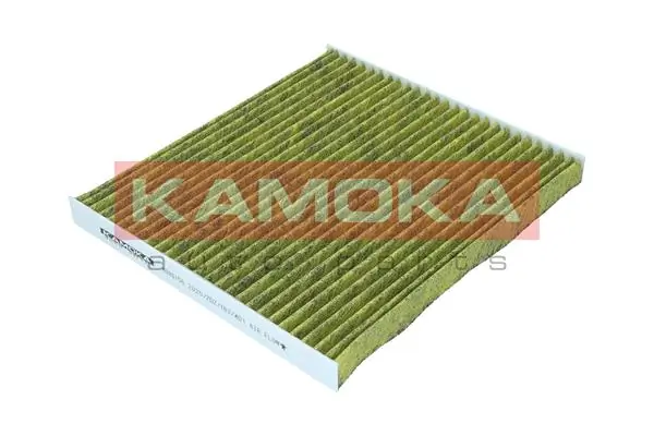 AS2600 Polcar Filtro antipolen