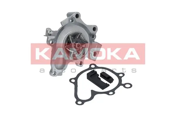 T0178 Kamoka