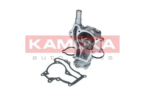 T0224 Kamoka
