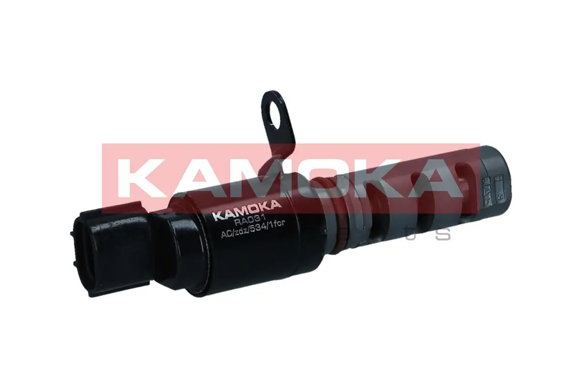 RA031 Kamoka