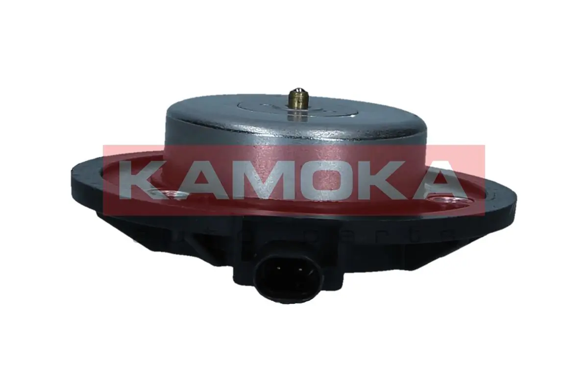 RA047 Kamoka