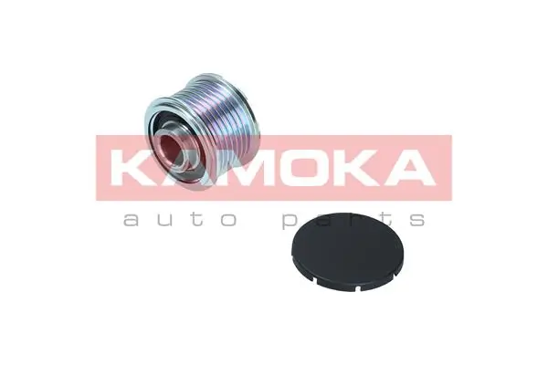 Rueda libre alternador  para BMW X6  E71