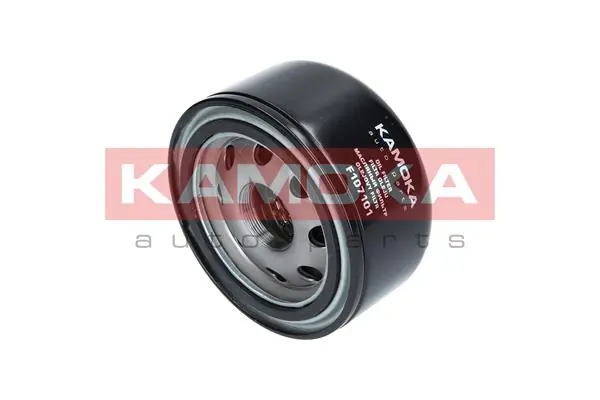 F107101 Kamoka