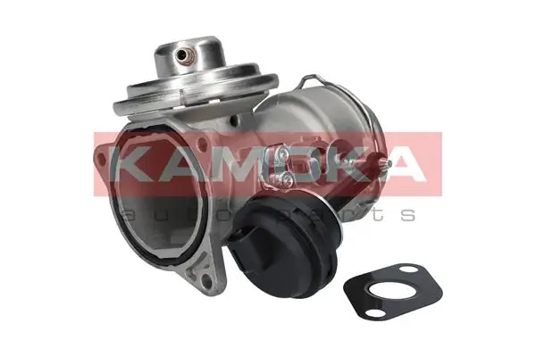 19033 Kamoka