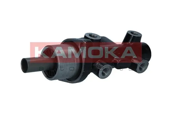1121098 Kamoka