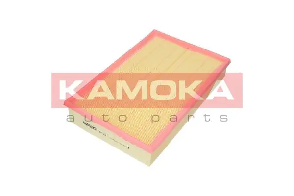 F231901 Kamoka