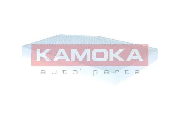 F423701 Kamoka