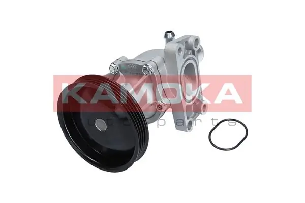 T0276 Kamoka