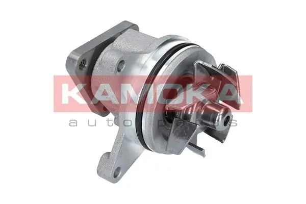 T0136 Kamoka