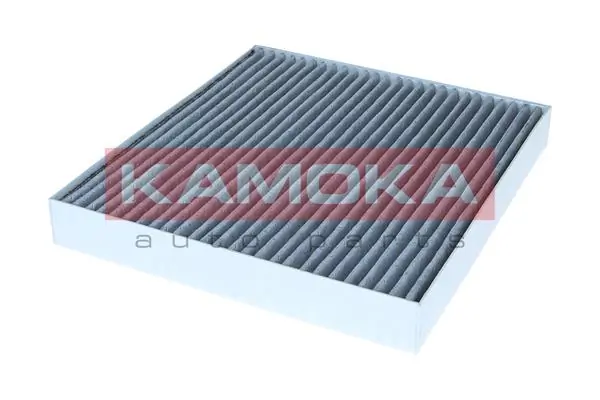 F178810140010 Fendt Filtro antipolen