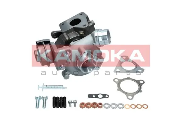 8600079 Kamoka