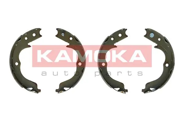 JQ212055 Kamoka