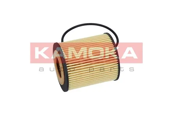 F110201 Kamoka