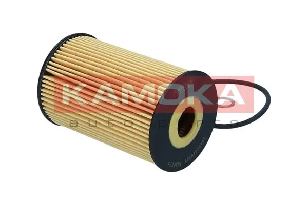 F124801 Kamoka