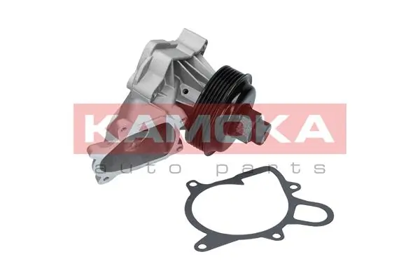 T0060 Kamoka