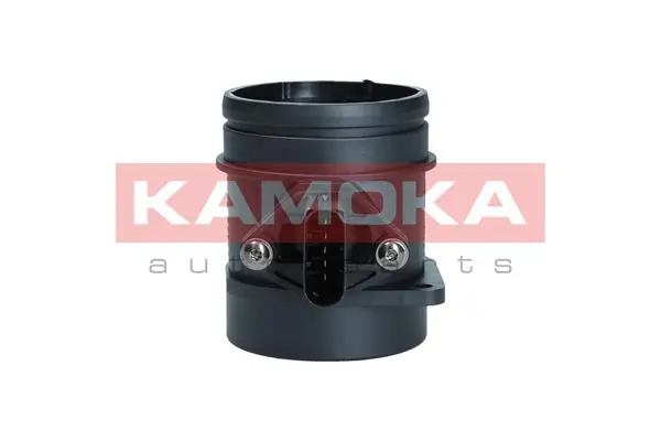 18018 Kamoka