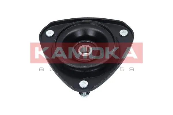 209094 Kamoka