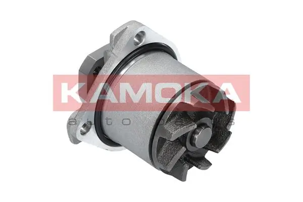 Bomba de agua P524 Tata