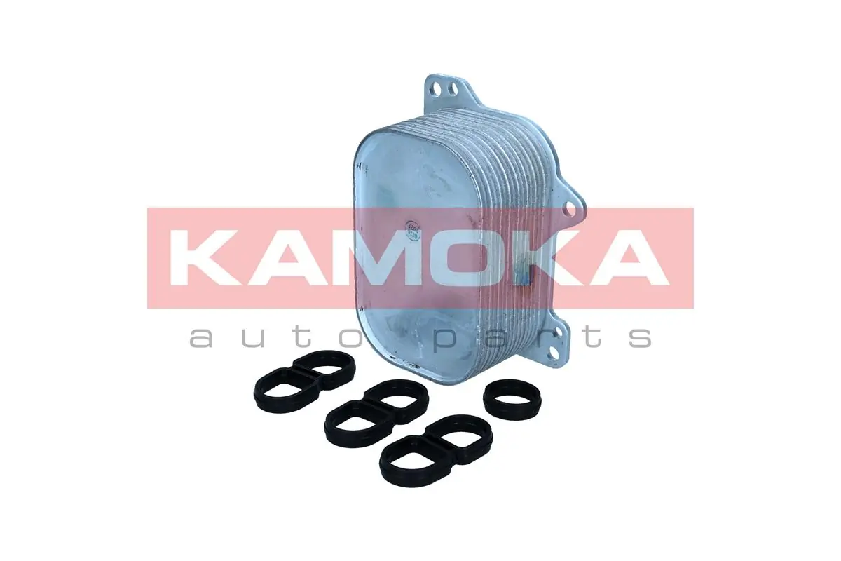 7730045 Kamoka