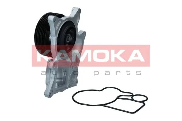 T0300 Kamoka